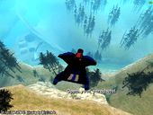 The Tecno Wingsuit