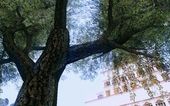 DirectX Test 1 - ReMastered