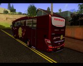 JetBus Marissa Holiday