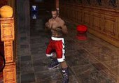 Boxing Savegame