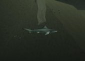 Animals in San Andreas