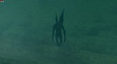 The Mothman [Final]