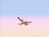 F-5E Shin Kazama