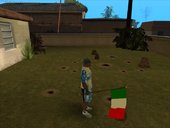 Flags World 2
