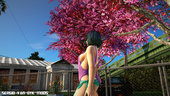 DOAX3 Tamaki Beach