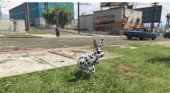 Dalmatian Rabbit Mod V1.0