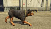 COD Warzone Rottweiler