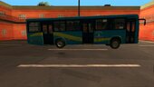 Egyption Bus (Alexandria)