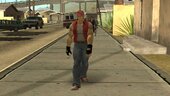Terry-smash Bros Ultimate